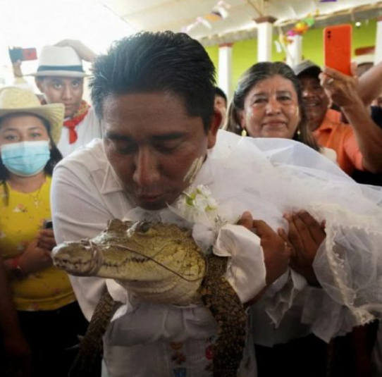 sinetronmalaya.com Datuk Bandar Mexico Berkahwin Dgn Buaya ccc
